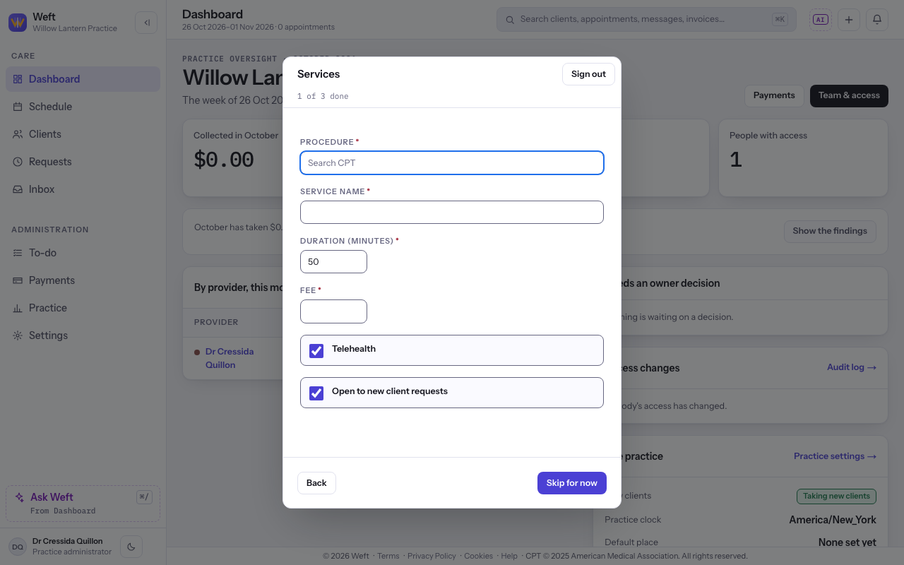 The Services panel with its service fields and Skip for now.